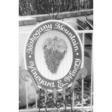 Mahogany Mountain Winery - Business Consulting in Ramona