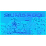 Sumaroo Inc - Accessories in San Francisco