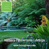 Living Green Plantscape Design - Landscaping in San Francisco