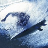 Gliders Usa Inc - Manufacturer in San Diego