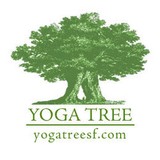 Yoga Flow - Yoga in San Francisco