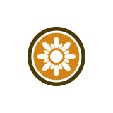 Nguyen Vu MD - Other in Vista