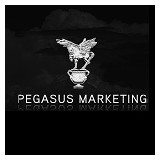 Pegasus Marketing Group - Advertising in San Marcos