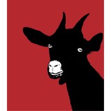 Goat Hill Pizza - Pizza in San Francisco