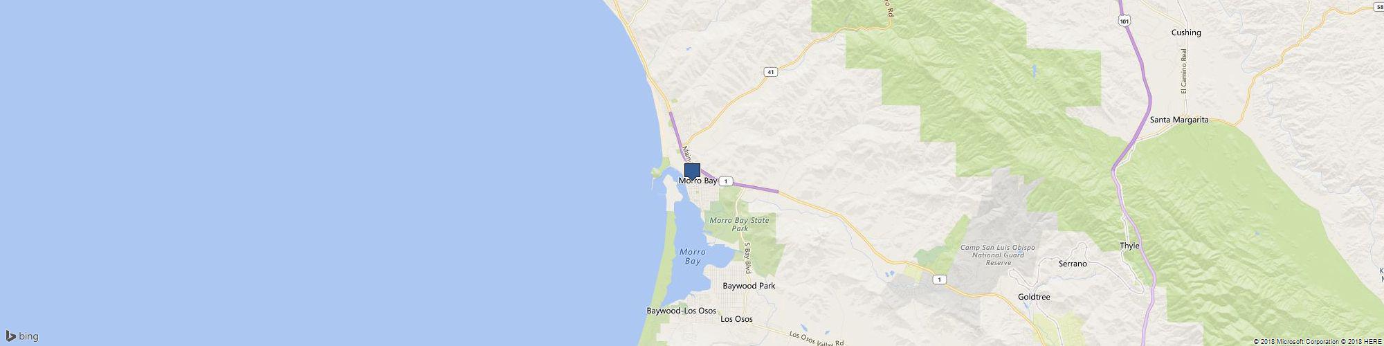 Morro Bay Winter Bird Festival cover photo