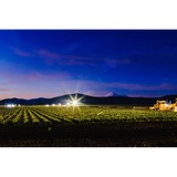Lassen Canyon Nursery - Other in Manteca