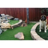 Lopez Landscape Contractor - Landscape Architects in San Diego