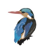 Realbird Inc - Other in Redwood City
