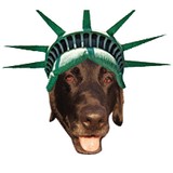 Americas Finest Pet Sitting - Pet Stores in San Diego