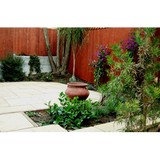 Mediterrasian Landscapes - Landscaping in San Francisco