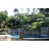 Bluewater Pool-Spa-Fountain - Other in San Diego