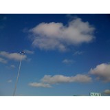 Palm Chip Corp - Software Development in Santa Clara