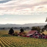 Healds Burger - Restaurants in Healdsburg
