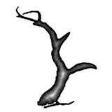 Body in Balance Physical Thrpy - Physiotherapy in Fairfield