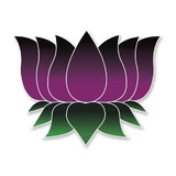 Purple Lotus Patient Center - Alternative Medicine in San Jose