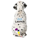 Dotlaunch Technologies - Web Design & Development in Woodland