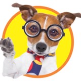 Bay Graphics - Graphic Design in Sunnyvale
