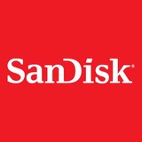 Sandisk Corporation - Business Consulting in Milpitas