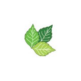 Dooling Landscape Service - Landscaping in San Jose