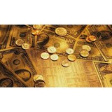 Griffin Coins - Other in Suisun City