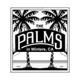 Palms Playhouse - Other in Winters