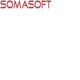 Somasoft Solutions Inc - Financial Services in San Jose