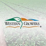 Western Growers Insurance Service - Insurance in Modesto