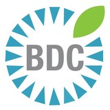 Business Design Corp - Business Consulting in Santa Rosa
