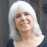 Sonoma County Gazette - Other in Forestville