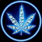 Platinum Society Med Marijuana - Internal Medicine in San Jose