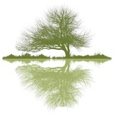 Nathan Sol Weinstein, LMFT - Marriage Counselling & Family Counselling in Santa Cruz