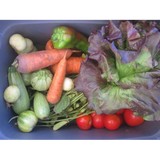 Tierra Vegetables - Restaurants in Healdsburg
