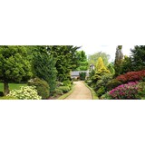 Sherwood Forest Landscaping - Landscape Architects in Clovis
