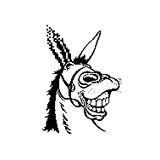 Digital Burro Inc - Other in Anderson