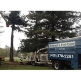 Anderson's Tree Care - Tree Services in San Jose