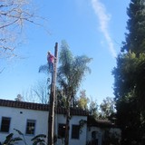 Tree Team Inc - Tree Services in Sunnyvale