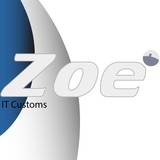 Zoe It Customs Corp - Business Consulting in San Jose