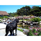 Sweetwater Landscape - Landscape Architects in Forestville