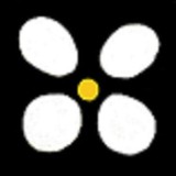 IL Fiorello Olive Oil CO - Manufacturer in Fairfield