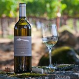 Chalk Hill Winery Estate & Vineyards - Wineries in Healdsburg