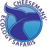 Cheesemans' Ecology Safaris - Other in Saratoga