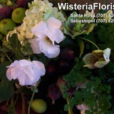 Wisteria Florist - Florists in Camarillo