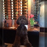 Mueller Winery - Wineries in Windsor