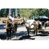 Mono Hot Springs Resort - Other in Clovis