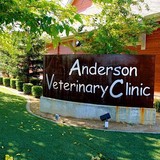 Pryor Chavon DVM - Veterinarians/Vets in Anderson