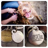 Ventura County Animal Shelter - Veterinarians/Vets in Simi Valley