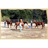 Equine Research Foundation - Other in Aptos