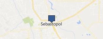 Paradise Oriental Rugs Inc location map