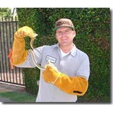 Abolish Pest Control Co - Pest Control in Simi Valley