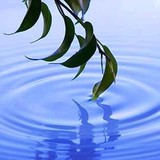 Aqua Bella Organic Solutions - Other in Sebastopol